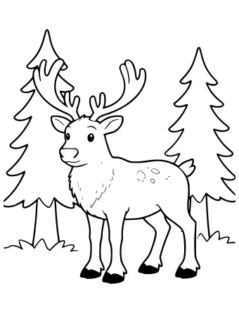 Schwarzes und weißes Ausmalbild eines Rentiers mit großen Geweihen, das im Profil in einem Wald mit zwei Nadelbäumen steht.
