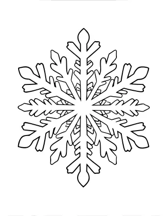 Black and white line drawing of a large, intricate symmetrical snowflake with six main arms and detailed branching patterns.